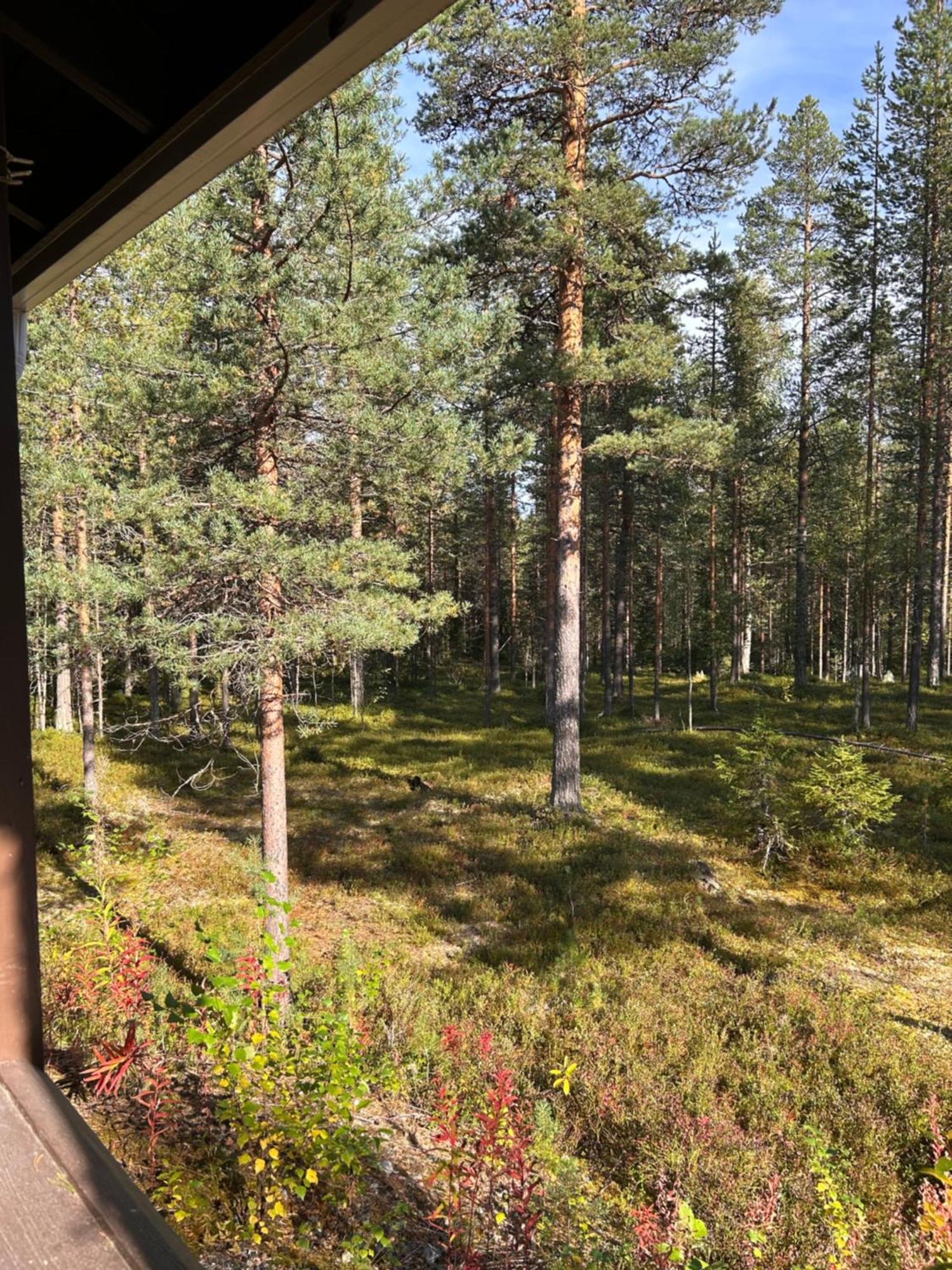Unelmasaeleikkoe 2 Kittilä Exterior photo